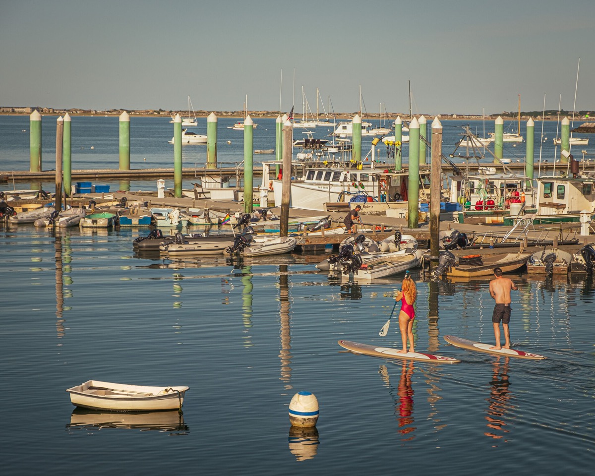 Paddleboarders